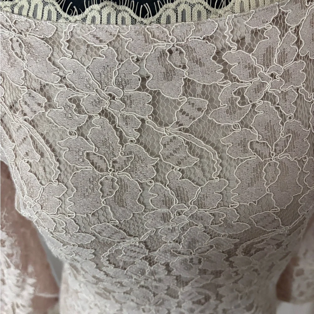 Diane Von Furstenberg Pale Pink Lace Dress - Picture 2 of 7